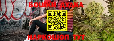 мдпв Будённовск