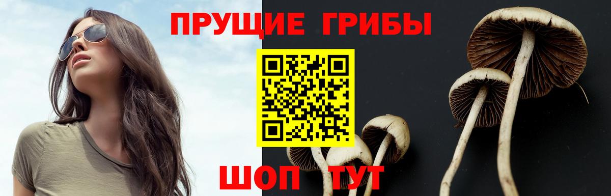 Псилоцибиновые грибы мицелий  Вход с VPN  Галлюциногенные грибы прущие грибы  Арсеньев 